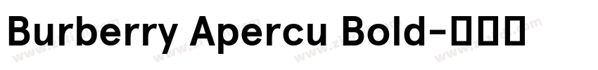 Burberry Apercu Bold字体转换